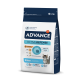 Advance Kitten pienso para gatitos