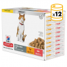 Pack de Comida Húmeda Hills Science Plan para gatos esterilizados de Pollo y Salmón