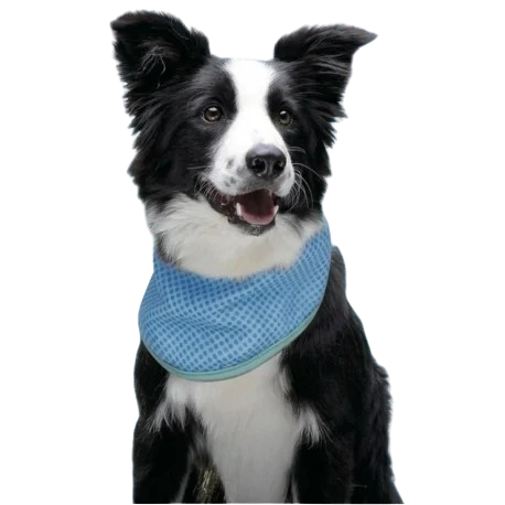 Freedog Bandana Refrescante para Perros