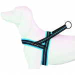 Freedog Arnés Deportivo para Perros Color Turquesa