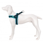 Freedog Arnés Deportivo para Perros Color Turquesa