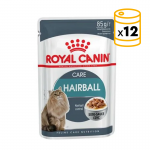 Royal Canin-Hairball Care Húmedo 85 gr. (1)