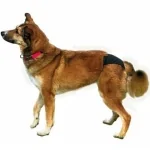 Trixie Braguitas Protectoras para Perro