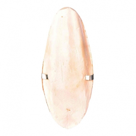 Trixie Hueso Jibia para Pájaros con Enganche 12 cm
