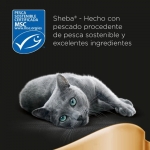 Sheba Delicatezze Multipack Comida Húmeda en Gelatina para Gatos Selección Mixta