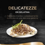 Sheba Delicatezze Multipack Comida Húmeda en Gelatina para Gatos Selección Aves
