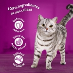 Whiskas Comida húmeda en Gelatina para Gatos Senior Pollo y Pavo