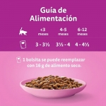 Whiskas Junior Comida húmeda en Gelatina para Gatitos Selección de Carnes