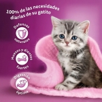 Whiskas Junior Comida húmeda en Gelatina para Gatitos Selección de Carnes