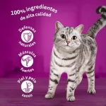 Whiskas Comida húmeda en Gelatina para Gatos Salmón y Atún