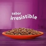 Whiskas Comida húmeda en Salsa para Gatos Buey y Pollo
