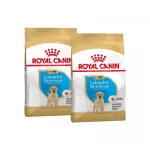 Royal Canin-Labrador Retriever Cachorro (1)