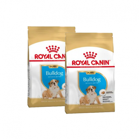 Bulldog Ingles Cachorro (1)