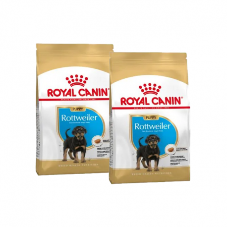 Rottweiler Cachorro (1)