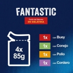 Felix Fantastic Comida húmeda para Gatos en Gelatina Selección de Carnes