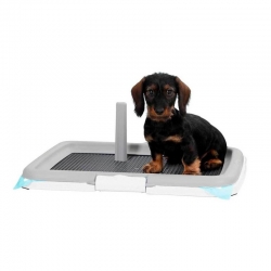 Zolux Bandeja de Aprendizaje para Cachorros