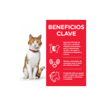 Hills Sterilised Cat Comida Húmeda para Gatos Esterilizados en Bocaditos con Pavo