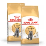 Royal Canin-British Shorthair Adulto (1)