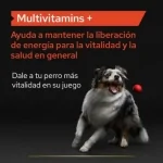 ProPlan Multivitamins+ Suplemento Alimenticio Para Perros