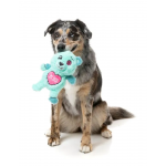 Fuzzyard Osito de Halloween Juguete para Perros