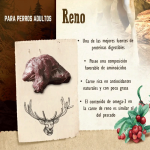 Carnilove-Adult Reindeer (1)