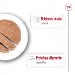 Royal Canin Maxi Adult Comida húmeda en Paté Para Perros Grandes