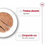 Royal Canin Maxi Ageing Comida húmeda en Paté Para Perros Grandes +5 Años