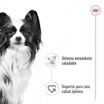 Royal Canin X-Small Comida húmeda en Salsa Para Perros Mini