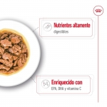 Royal Canin X-Small Comida húmeda en Salsa Para Perros Mini