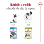 Royal Canin X-Small Comida húmeda en Salsa Para Perros Mini