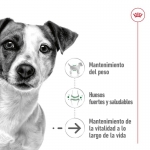Royal Canin Mini Ageing Comida húmeda en Paté Para Perros Pequeños +8 Años