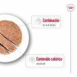 Royal Canin Mini Ageing Comida húmeda en Paté Para Perros Pequeños +8 Años