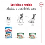 Royal Canin Mini Ageing Comida húmeda en Paté Para Perros Pequeños +8 Años