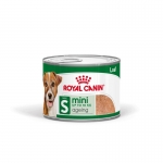 Royal Canin Mini Ageing Comida húmeda en Paté Para Perros Pequeños +8 Años