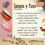 Carnilove-Cat & Kitten Salmon & Turkey (1)