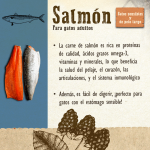 Carnilove-Adult Salmon Sensitive & Long Hair (1)