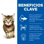 Hills-SP Feline Kitten con Pollo. (1)