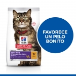 Hills-SP Feline Adult Sensitive Stomach. (1)