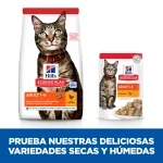 Pienso Hills Science Plan Adult de pollo para gatos