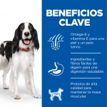 Hills Science Plan Adult de pavo pack latas para perros