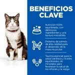 Hills Science Plan Cullinary Creations Pienso Para Gatos con Salmón y Zanahorias