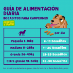 Edgard & Cooper Bites Bocaditos Grandes para Perros con Cordero