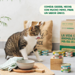 Wild Balance Ragout Tradicional Comida Húmeda Para Gatos con Ternera y Pollo