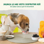 Wild Balance Ice Cream Yogur Helado Prebiotico para Perros y Gatos
