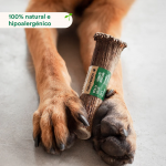 Wild Balance Asta de Ciervo Snack Mordedor para Perros