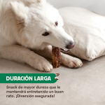 Wild Balance Tráqueas de Ternera Snack para Perros