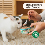 Wild Balance Barf Wild Fish Comida Húmeda Para Gatos con Pescado Salvaje y Pollo
