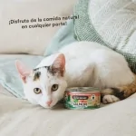 Wild Balance Barf Salmon Comida Húmeda Para Gatos con Salmon y Ternera