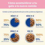 Purina Cat Chow Kitten Comida Húmeda en Gelatina para Gatitos con Pavo