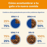 Purina Cat Chow Comida Húmeda en Gelatina para Gatos con Salmón